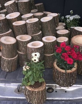 Doğal Odun Minik Saksı 4 Adet